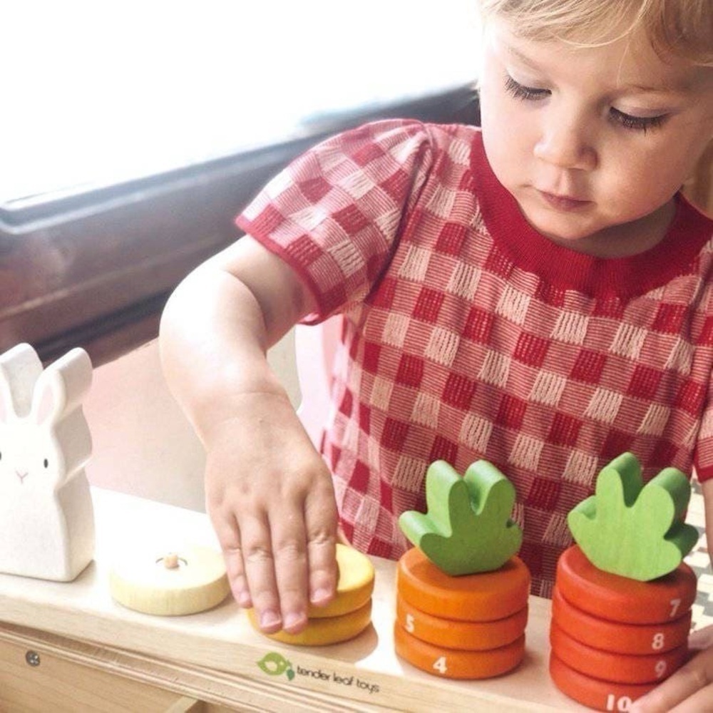 Tender Leaf Toys - Counting Carrots - Picture 10 of 16